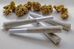 Why Hemp Pre Rolls Are Taking Over the Smoking Industry