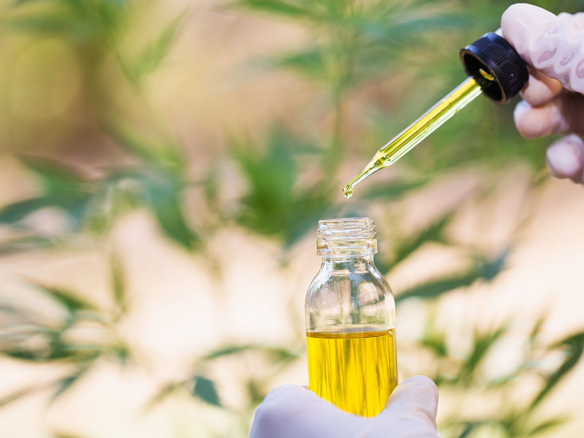 Buy cbd oil for pain