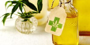 The CBD Oil Pain Relief Guide for All Your Needs