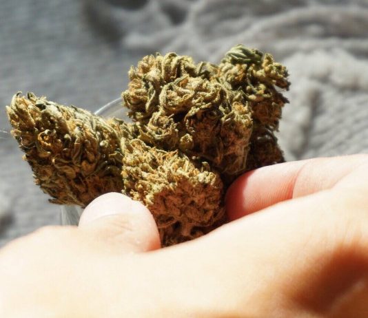 theislandnow's list of high thca flower